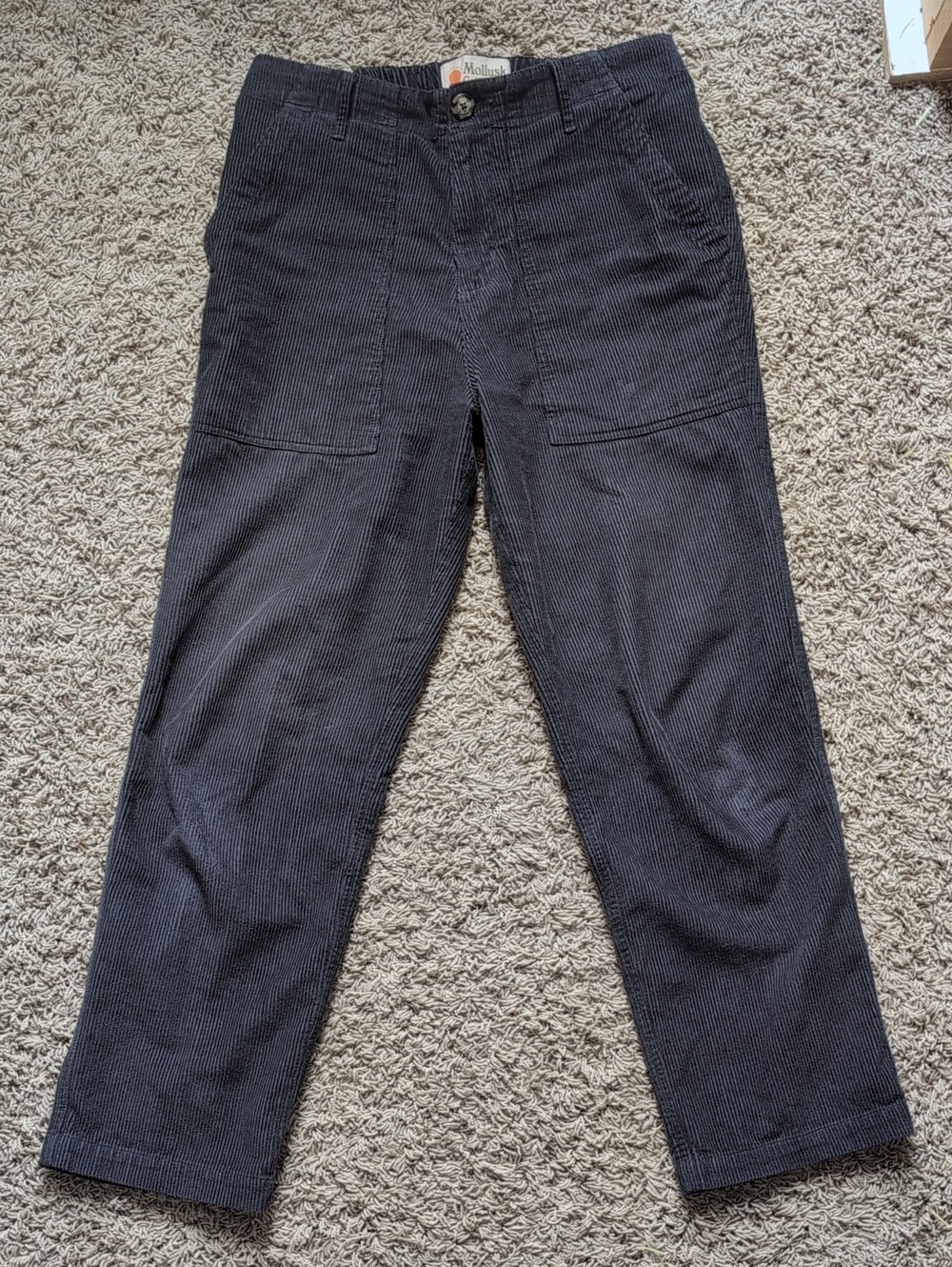 Mollusk Corduroy Pants